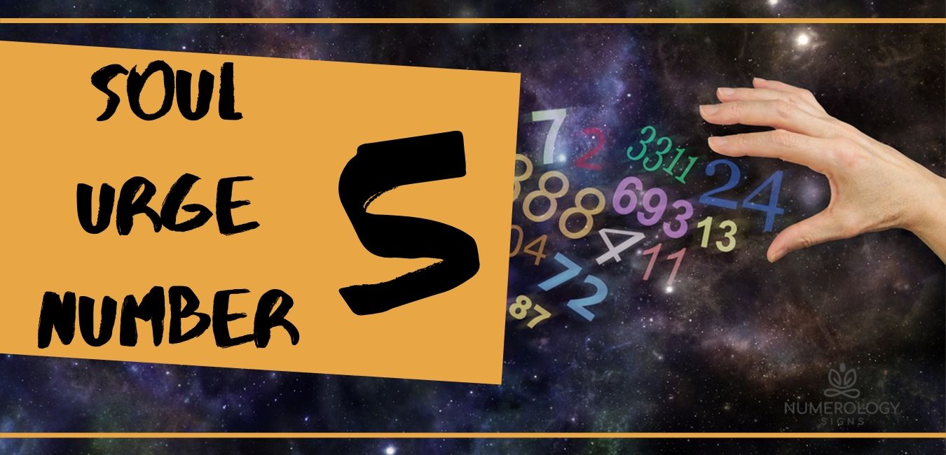 Ý nghĩa con số linh hồn 5