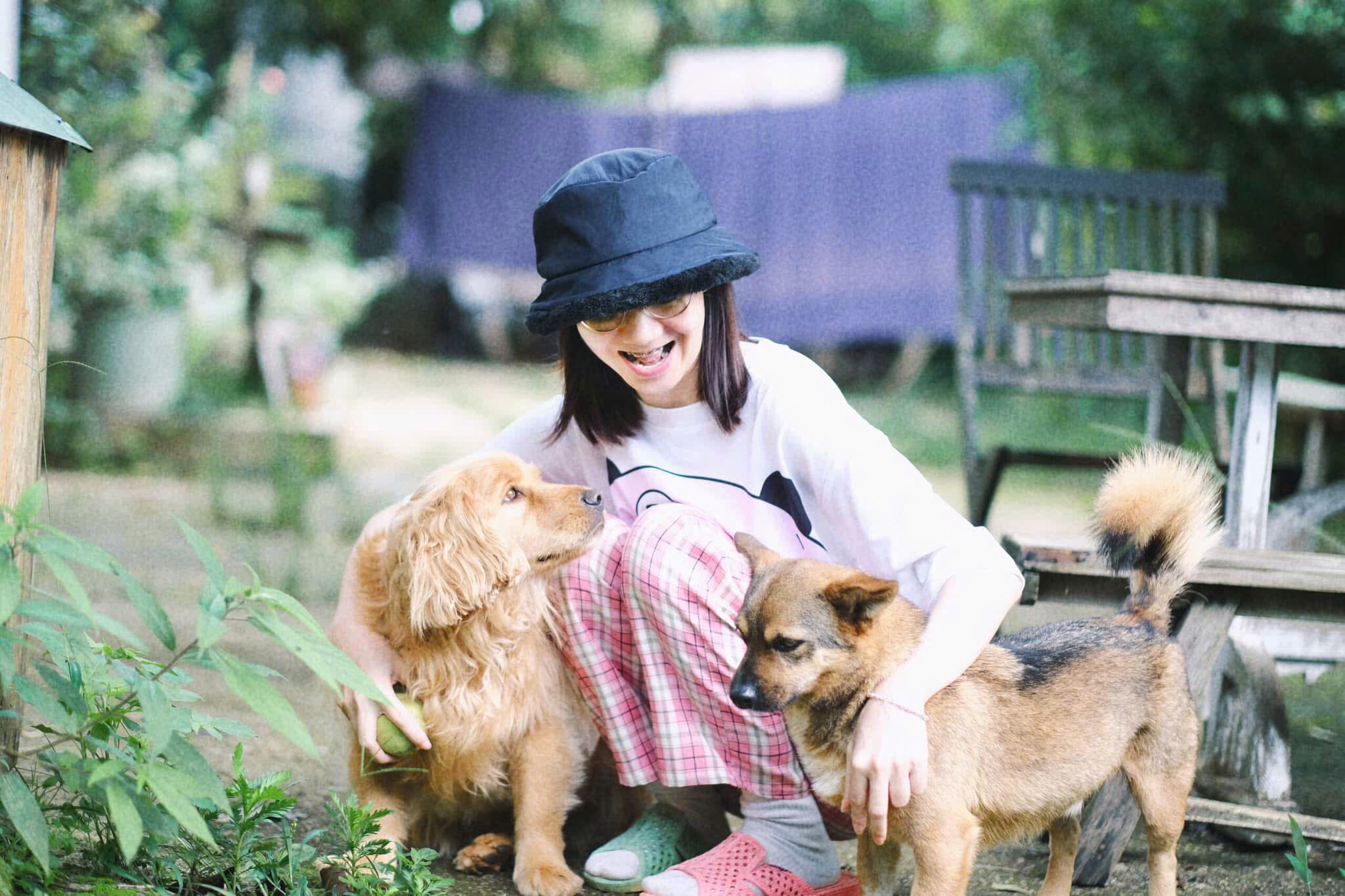 Amy Phạm Blog