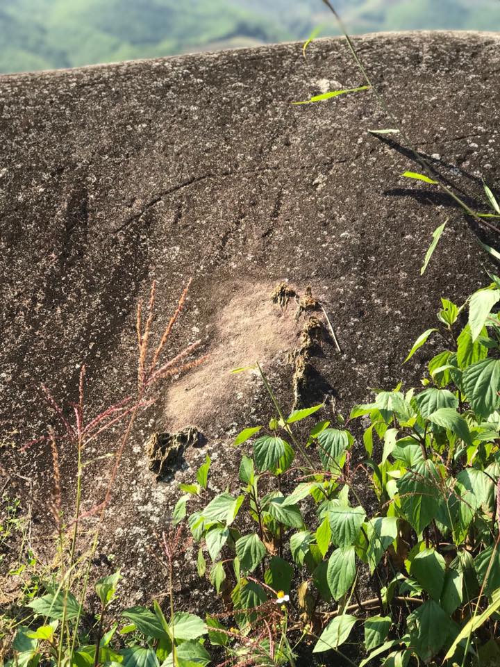 bãi đá cổ sapa -72