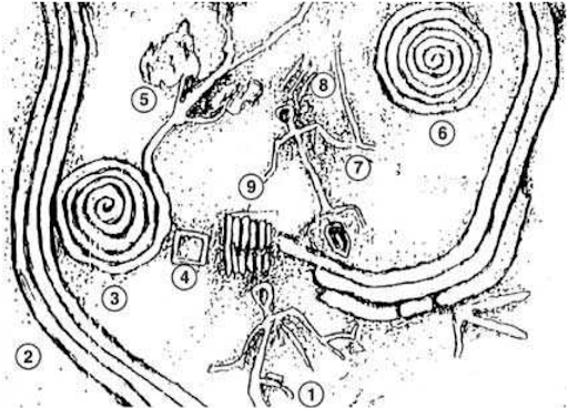 Bãi đá cổ sapa-14