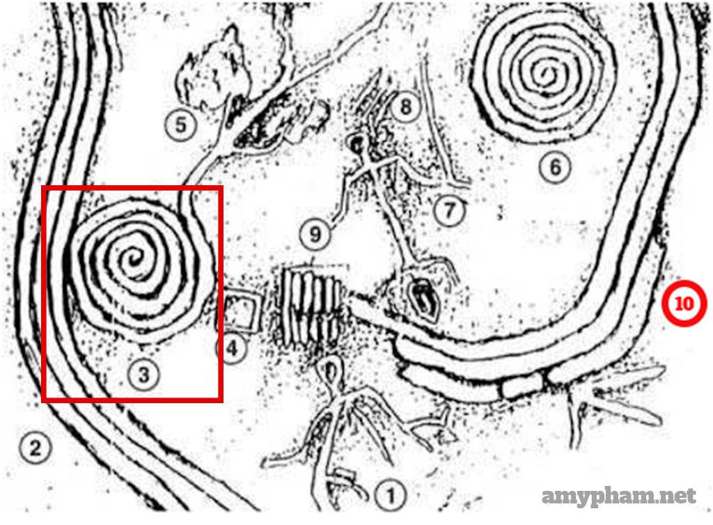 giải mã bãi đá cổ sapa-300