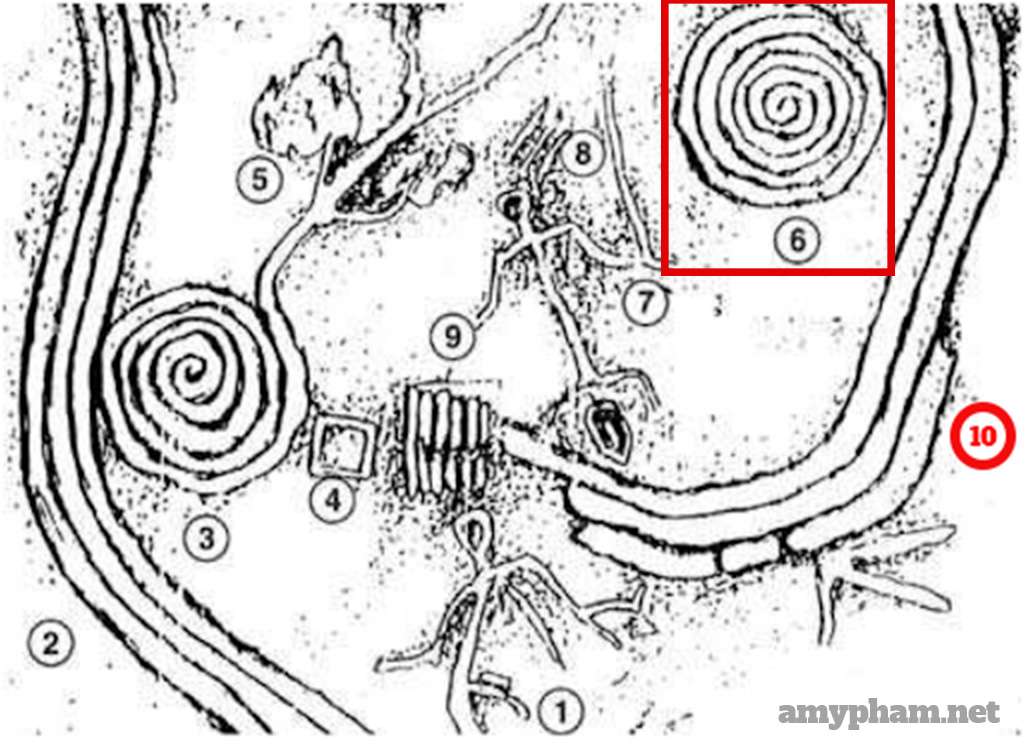 giải mã bãi đá cổ sapa-301