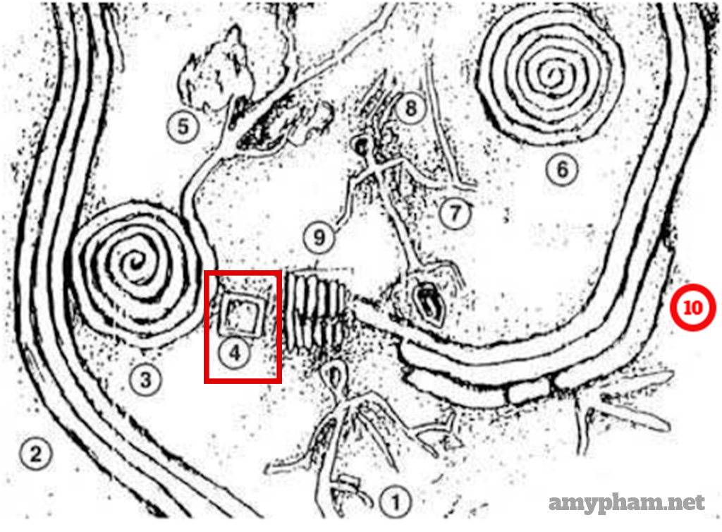 giải mã bãi đá cổ sapa-202