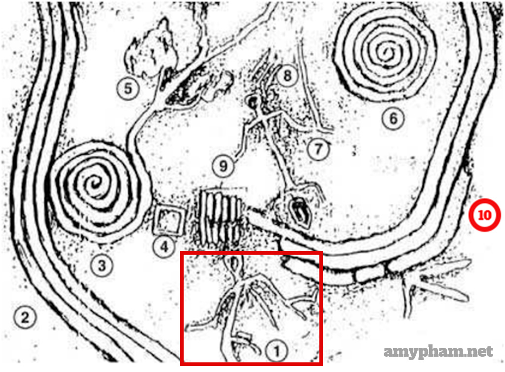 giải mã bãi đá cổ sapa -211