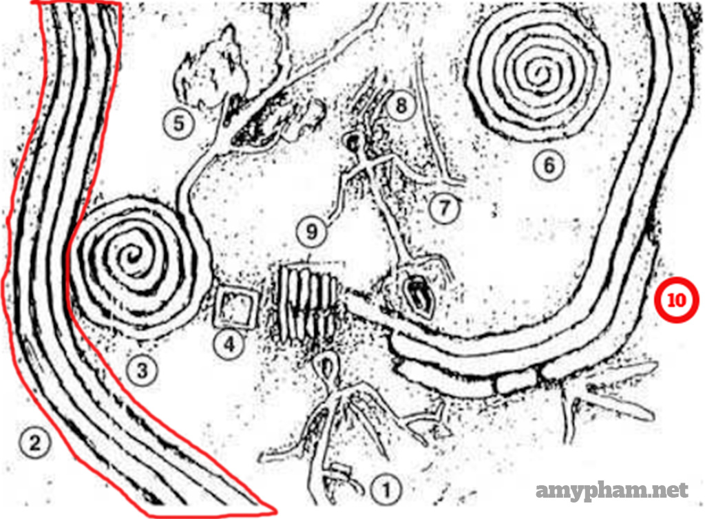 giải mã bãi đá cổ sapa -208