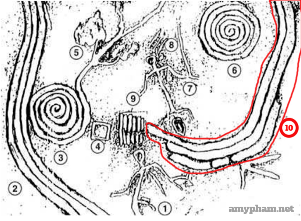 giải mã bãi đá cổ sapa -209