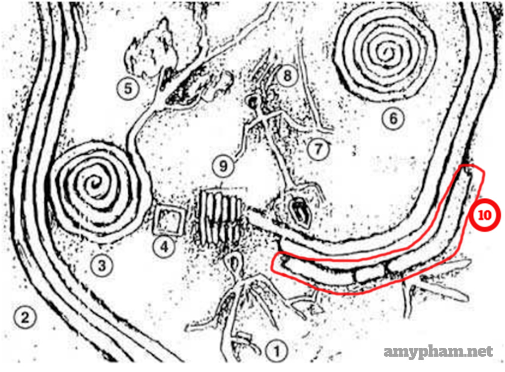giải mã bãi đá cổ sapa -212