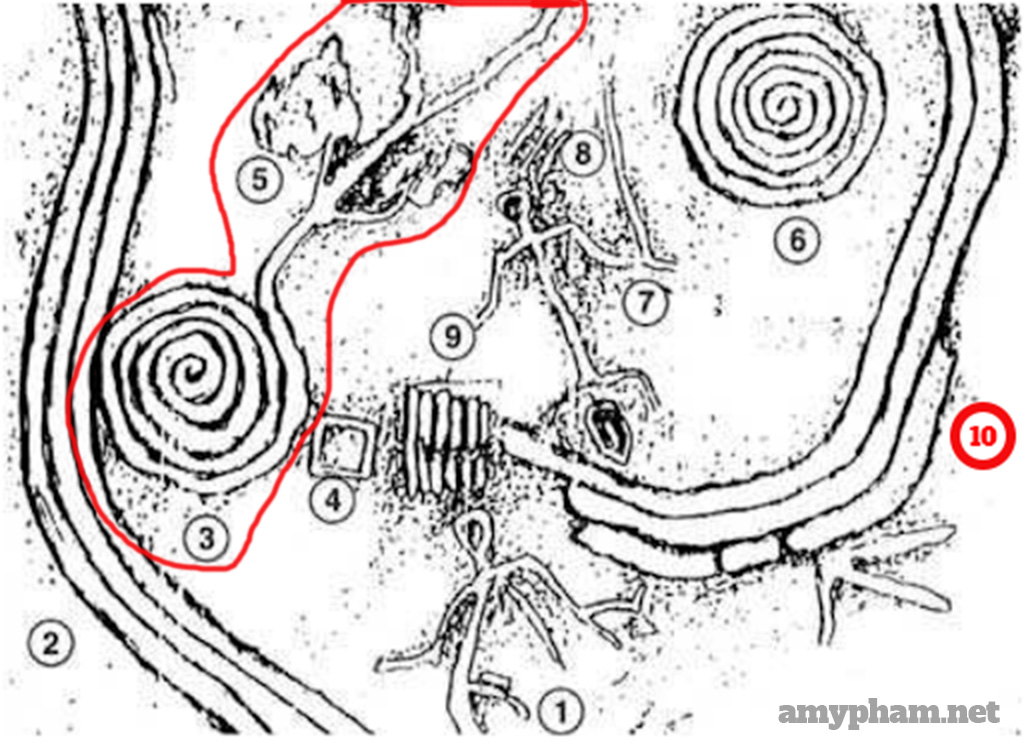 giải mã bãi đá cổ sapa -305